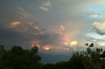 Treetops Accommodation Montville - Accommodation QLD 27