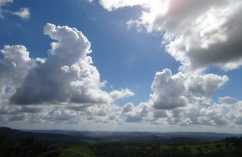 Treetops Accommodation Montville - Accommodation QLD 28