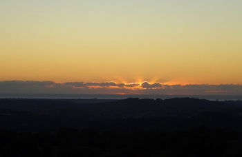 Treetops Accommodation Montville - Accommodation QLD 29