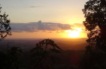 Treetops Accommodation Montville - Accommodation QLD 30