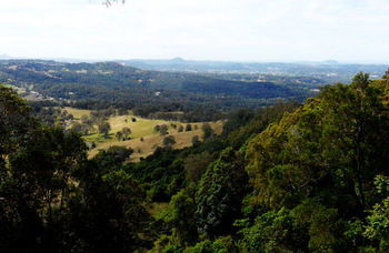 Treetops Accommodation Montville - Accommodation QLD 31