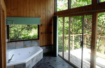 Treetops Accommodation Montville - Accommodation QLD 36
