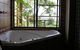 Treetops Accommodation Montville - thumb 38