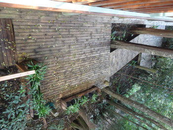 Treetops Accommodation Montville - Accommodation QLD 53