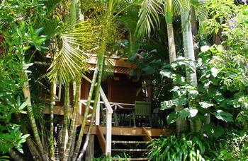 Treetops Accommodation Montville - Accommodation QLD 54