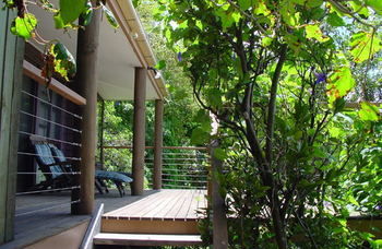 Treetops Accommodation Montville - Accommodation QLD 59