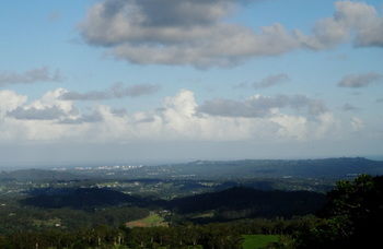 Treetops Accommodation Montville - Accommodation QLD 63