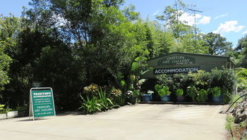 Treetops Accommodation Montville - Accommodation QLD 67