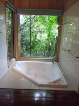 Treetops Accommodation Montville - Accommodation QLD 84