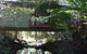 Treetops Accommodation Montville - thumb 87