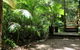 Treetops Accommodation Montville - thumb 89