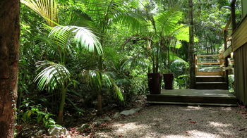 Treetops Accommodation Montville - Accommodation QLD 89