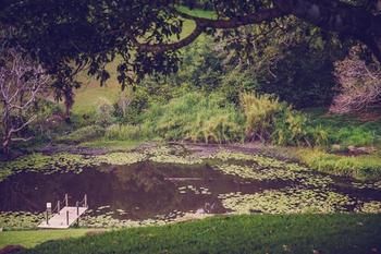 Allara Homestead - Accommodation QLD 5