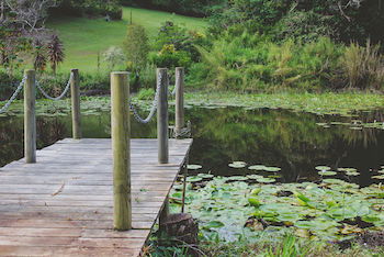 Allara Homestead - Accommodation QLD 14