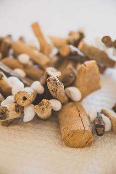 Allara Homestead - Accommodation QLD 23