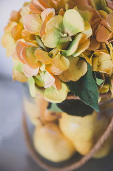 Allara Homestead - Accommodation QLD 30