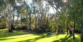 Tooleybuc Motel - Accommodation QLD 5