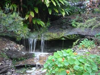 Beachview Homestay - Accommodation QLD 5