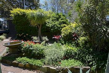 Beachview Homestay - Accommodation QLD 10