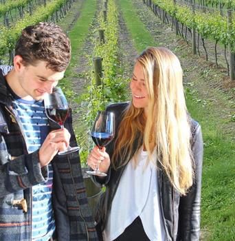 Valley Farm Vineyard Cottages - Accommodation QLD 0