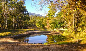 Valley Farm Vineyard Cottages - Accommodation QLD 3
