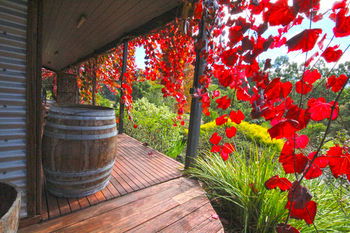 Valley Farm Vineyard Cottages - Accommodation QLD 5