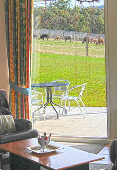 Valley Farm Vineyard Cottages - Accommodation QLD 9