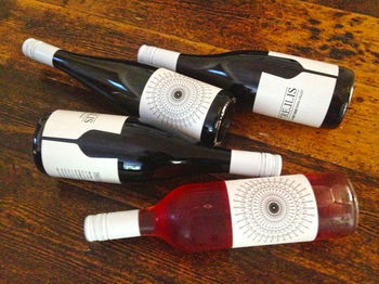 Valley Farm Vineyard Cottages - Accommodation QLD 15