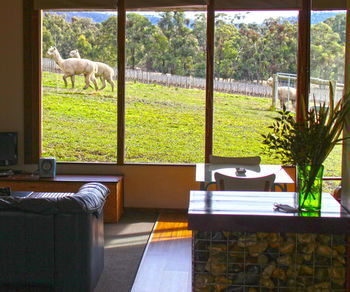 Valley Farm Vineyard Cottages - Accommodation QLD 17
