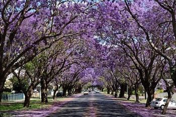 Civic Motel - Accommodation QLD 2