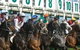 Hawkesbury Race Club Motel - thumb 13
