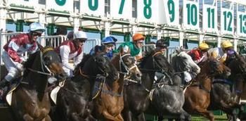 Hawkesbury Race Club Motel - Accommodation QLD 13