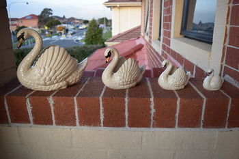 Meurants Manor Bed And Breakfast - Accommodation QLD 15