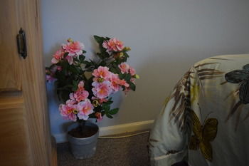 Meurants Manor Bed And Breakfast - Accommodation QLD 42