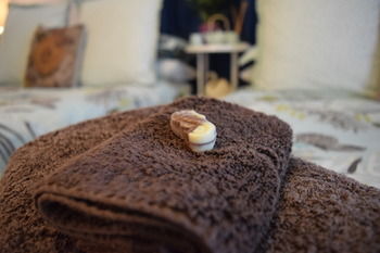 Meurants Manor Bed And Breakfast - Accommodation QLD 52