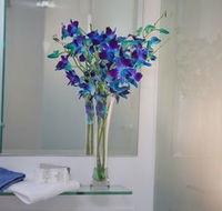 Grand Hotel Wyong - Accommodation QLD
