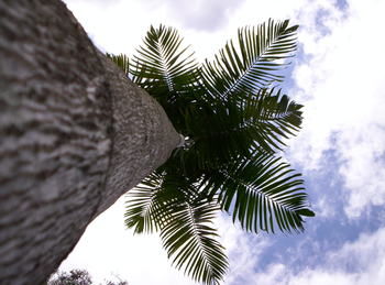 Alaya Escape - Accommodation QLD 39