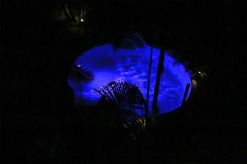 Alaya Escape - Accommodation QLD 44