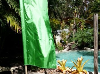 Alaya Escape - Accommodation QLD 54