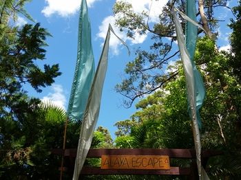 Alaya Escape - Accommodation QLD 56