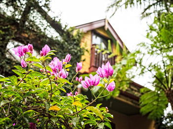 The Regents Park - Accommodation QLD 3