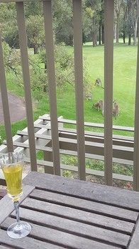 Villa Christian At Cypress Lakes Resort - Accommodation QLD 31