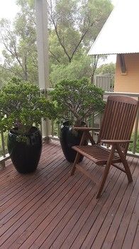 Villa Christian At Cypress Lakes Resort - Accommodation QLD 32