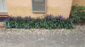 Villa Christian At Cypress Lakes Resort - Accommodation QLD 46