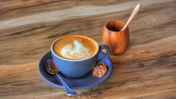 Rivershore Resort - Accommodation QLD 25