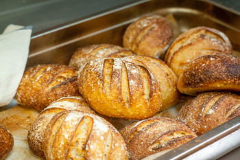 Altitude On Montville - Accommodation QLD 10