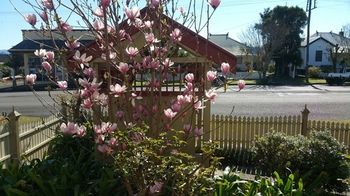 37 Queen Gloucester - Accommodation QLD 5