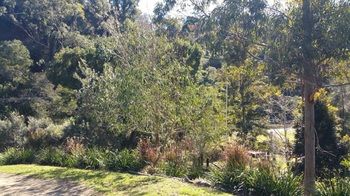 Copeland Cabins - Accommodation QLD 2