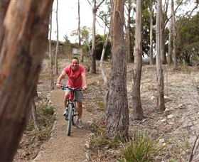 Tranquil Point Retreat - Accommodation QLD 1