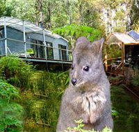 Huon Bush Retreats - Accommodation QLD